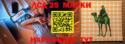 прущие грибы Кунгур