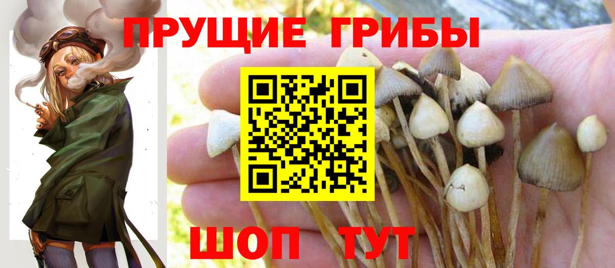 Псилоцибиновые грибы Чусовой